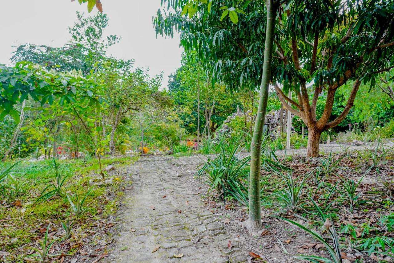 Pousada Kabana de Pedra Ibicoara Exterior foto